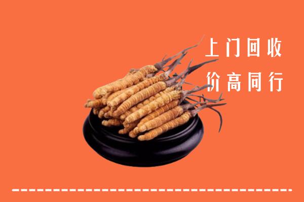 甘井子区回收散虫草