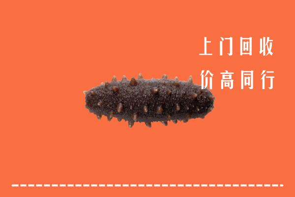 甘井子区回收海参