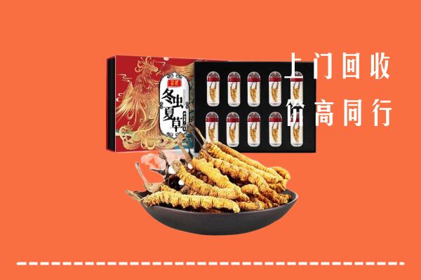 甘井子区回收虫草